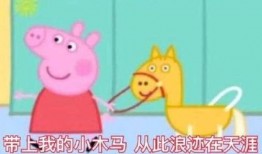 网红小猪爆料视频大全,揭秘娱乐圈幕后真相